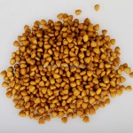 猫粮工厂-OEM ODM牛肉味全阶段派派