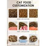 幼猫猫粮供应商-OEM牛肉味批量干粮全阶段