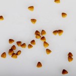 猫粮供应商-OEM ODM多种有机袋装批发