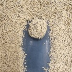 猫砂生产厂家-工厂直供豆腐结团膨润土