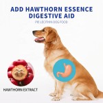 干狗粮工厂-OEM ODM活力老年犬低过敏