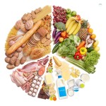 干猫粮工厂-高级鸡肉主要成分鱼