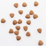 狗粮供应商-OEM ODM高蛋白20kg牛肉饼干