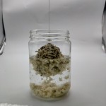 猫砂工厂-强吸收膨润土豆腐