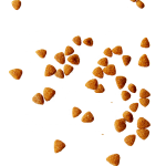 猫粮生产厂家-OEM ODM朗森有机免费样品