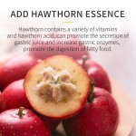 狗食生产厂家-OEM ODM定制有机卵磷脂