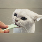 湿猫零食供应商-全天然定制多种口味