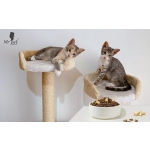 干猫粮工厂-工厂直供20kg真肉海鲜