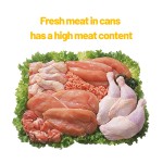 猫肉汤生产厂家-爱丽丝块状罐375克多营养