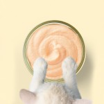 猫慕斯生产厂家-爱丽丝金罐85克超级口味