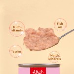 慕斯罐供应商-爱丽丝新内容产品优质