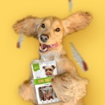 狗零食生产厂家-OEM ODM风干鸭肉面食鸡肉