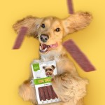 狗零食供应商-OEM ODM风干鸭肉片鸡肉