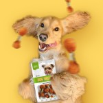 狗零食供应商-OEM ODM风干三文鱼哑铃