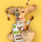 狗零食生产厂家-OEM ODM风干鸡肉洁牙棒