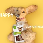 狗零食工厂-OEM ODM风干鸭肉鳕鱼片