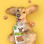 狗零食生产厂家-OEM ODM风干兔肉饭团