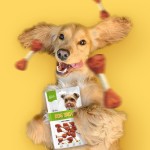 狗零食工厂-OEM ODM风干鸭肉哑铃鸡肉