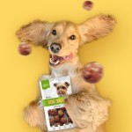 狗零食生产厂家-OEM ODM风干鸭肉饭团