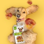 狗零食生产厂家-OEM ODM风干鸡鸭圈