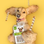 狗零食供应商-OEM ODM风干鳕鱼条卷