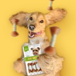 狗零食工厂-OEM ODM风干鸡肉哑铃牛肉