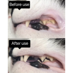 牙科护理供应商-抗牙菌斑牙科护理洁牙粉犬猫私有