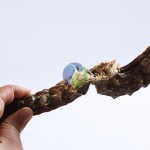 犬零食工厂-热销天然切片鸭颈干宠物食品手工烘干