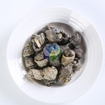 宠物零食供应商-BSCI宠物零食工厂代工批发野生鳕鱼皮Omega-3