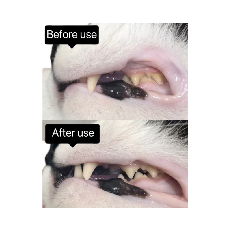 洁牙粉厂家-洁牙粉犬牙清洁牙菌斑口臭配方