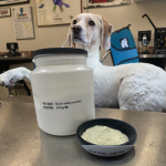 羊奶粉厂家-犬用羊奶粉代工贴牌