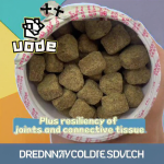 宠物益生菌厂家-代工贴牌消化酶肠道健康软嚼片