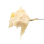 宠物湿粮供应商-代工工厂高品质85克袋全英文包装猫