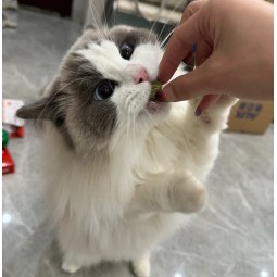 宠物零食工厂-贴牌代工高蛋白健康冻干猫零食猫草