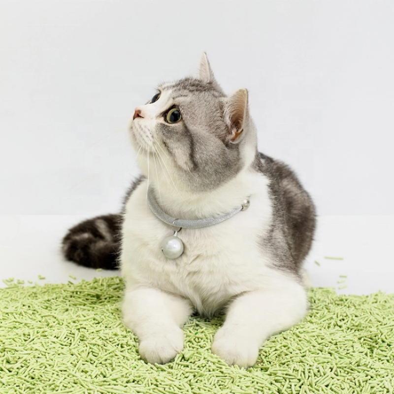 猫砂工厂-高销量定制工厂直销批发价优质