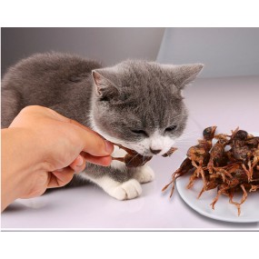 Freeze-Dried Treats Factory - Wholesale OEM Natural Pure Meat Quail Freeze Dried Pet Treats