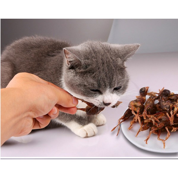 冻干零食工厂-批发代工天然纯肉鹌鹑冻干宠物零食