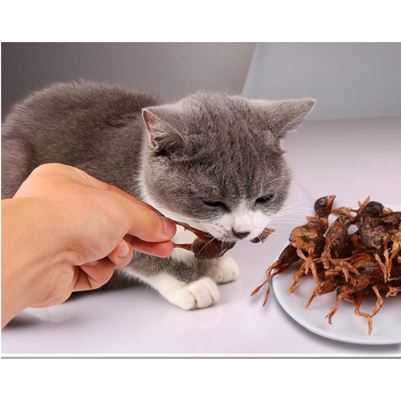 冻干零食工厂-批发代工天然纯肉鹌鹑冻干宠物零食