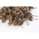 冻干零食工厂-批发代工天然纯肉鹌鹑冻干宠物零食