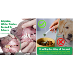 益生菌粉工厂-工厂私有标签益生菌益生元粉犬用