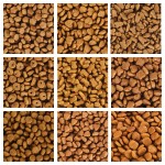 幼犬粮工厂-丰富营养干粮给幼犬健康宠物食品