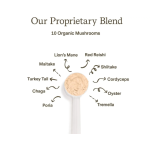 宠物补充剂供应商-批发天然有机宠物蘑菇提取粉免疫