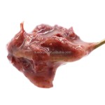 宠物湿粮供应商-代工工厂高品质85克袋全英文包装猫