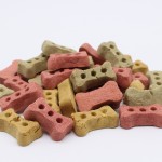 Dog Biscuits Manufacturer - Pets Favorite Dried Chews Crunchy Biscuits Tooth Cleaning