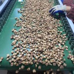 宠物零食供应商-冻干牛肉鸡肉羊肉鸭肝块脱水训练