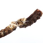 犬零食工厂-热销天然切片鸭颈干宠物食品手工烘干