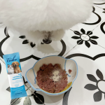 益生菌粉工厂-工厂私有标签益生菌益生元粉犬用