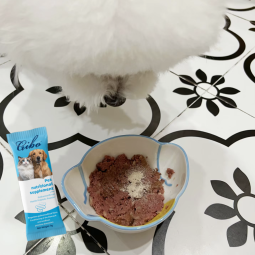 益生菌粉工厂-工厂私有标签益生菌益生元粉犬用