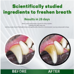 牙科护理供应商-抗牙菌斑牙科护理洁牙粉犬猫私有