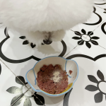 牙科护理供应商-抗牙菌斑牙科护理洁牙粉犬猫私有